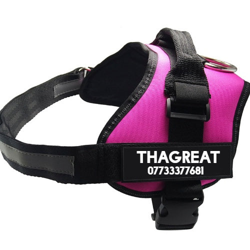 KFX-4862269 Reflective Nylon Pet Chest Strap with Adjustable Neck and Durable Stainless Steel Ring