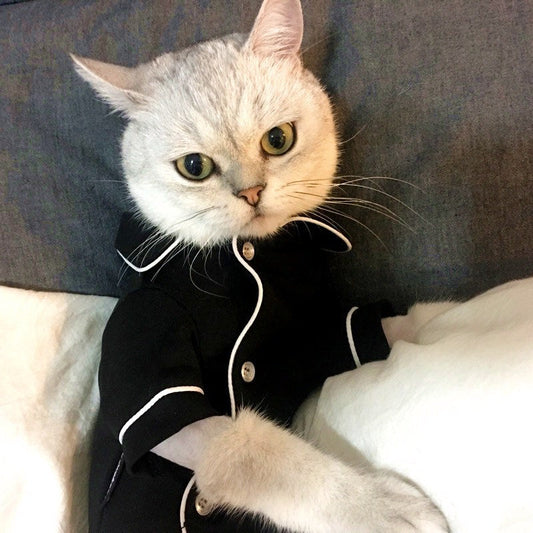 KFX-4870333 Summer Cat Dress - Casual Pajamas for Feline Comfort in Various Sizes