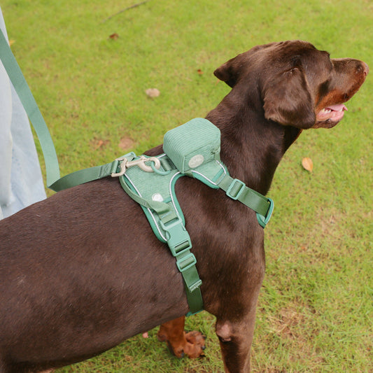 KFX-4892989 Forest Green Dog Backpack Suit with Collar, Leash, and Waste Bag for Outdoor Adventures