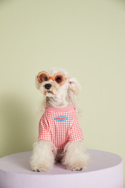 KFX-4899517 Candy Color Plaid T-Shirt in Blue, Yellow, and Pink for a Casual Summer Look - Sizes XS to XXL