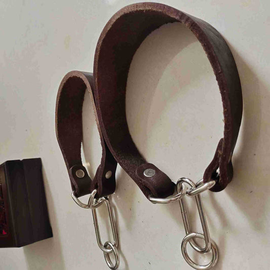 KFX-4918205 Widened Greyhound Dog Collar in Curry Cow Leather - 3cm & 4cm Width Options