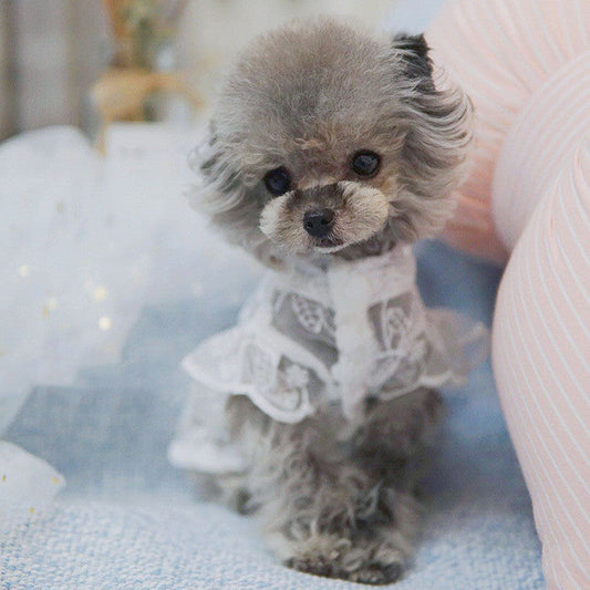 KFX-4949565 Lace Sunscreen Skirt for Pets - Breathable Polyester Clothing for Dogs and Cats in White