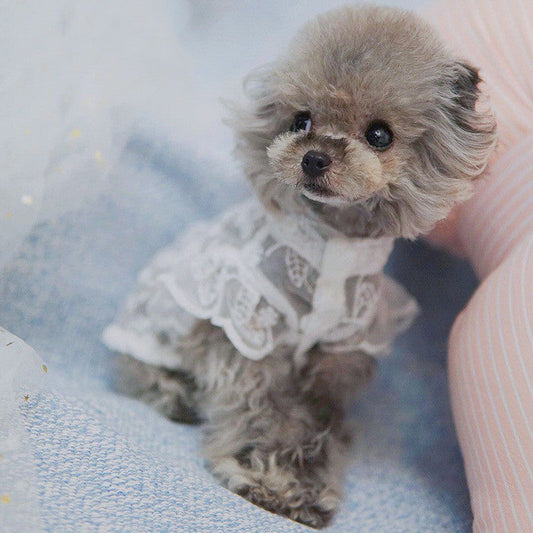 KFX-4949565 Lace Sunscreen Skirt for Pets - Breathable Polyester Clothing for Dogs and Cats in White