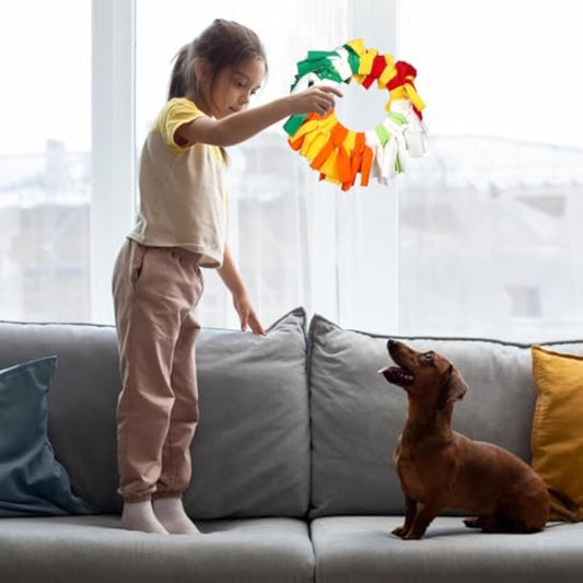 KFX-4964157 Rainbow Polar Fleece Flying Disc Dog Toy for Sniffing and Interactive Play