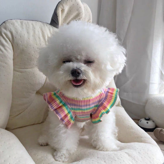 KFX-4984125 Rainbow Thin Striped Dog T-Shirt Sling in Multiple Colors and Sizes