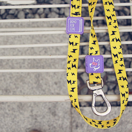 KFX-4985533 Durable Polyester Fiber Leash for Small, Medium, and Large Dogs with Strong Zinc Alloy Hardware