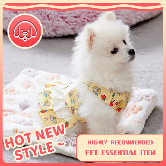 KFX-4988989 Cute Angel Wings Dog Harness Dress and Leash Set for Small Breeds