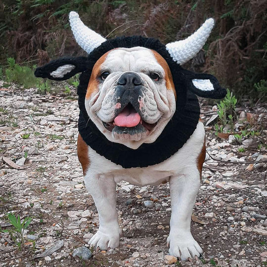 KFX-5001789 Knitted Thermal and Windproof Dog Hat for All Seasons - Available in Various Designs