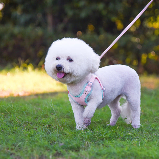 KFX-5023549 Adjustable Suede Dog Harness with Comfortable Matching Leash - Multiple Color Options Available