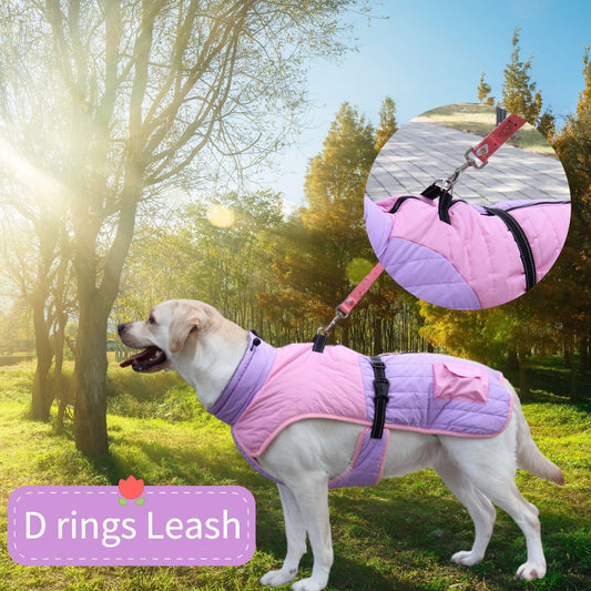KFX-5047101 Thick Warm Dog Coat for Autumn and Winter in Multiple Colors and Sizes