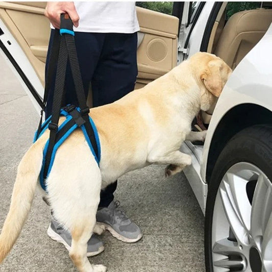 KFX-5067837 Adjustable Dog Hind Leg Support Harness for Easy Walking and Mobility
