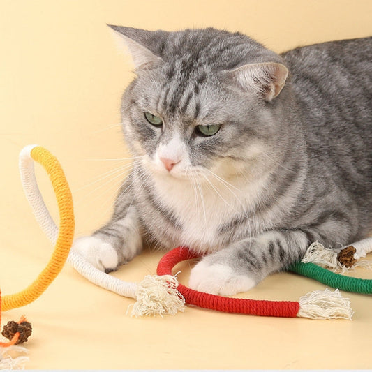 KFX-5107901 Cat Bite Rope Toy – Cotton Thread Pet Teaser Stick in Vibrant Colors