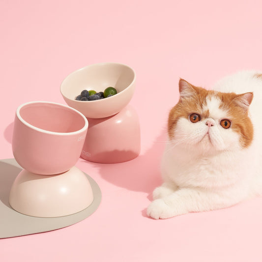 KFX-5128509 Elevated Ceramic Cat Bowl with Oblique Mouth Design for Improved Comfort and Spill Prevention