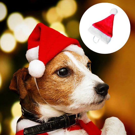 KFX-5165245 Plush Holiday Pet Hat with Windproof Design for Christmas Celebrations