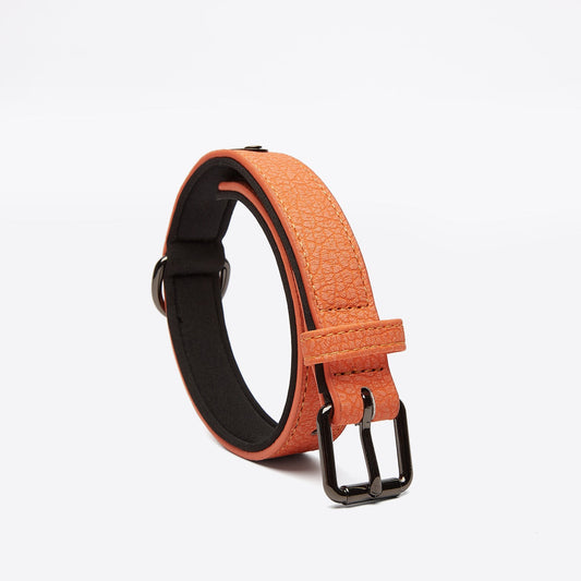 KFX-5190077 Eco-Friendly PU Dog Collar with Lychee Pattern for Large Dogs - Waterproof Inner Layer, Alloy Buckle