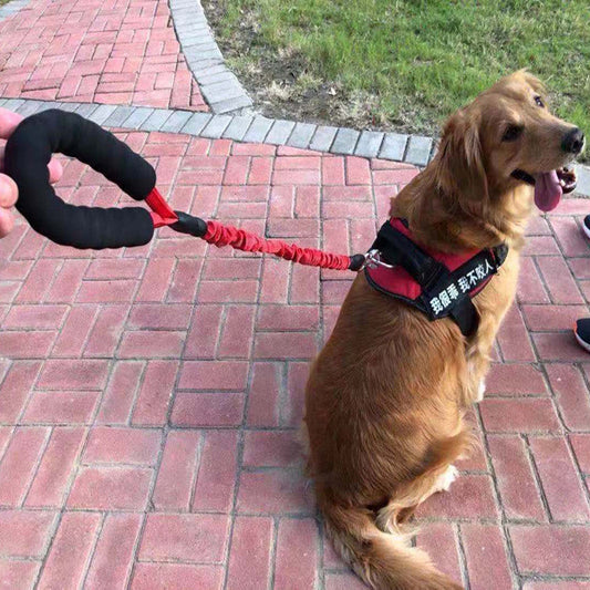 KFX-5259197 Elastic Retractable Dog Leash, Explosion-Proof Nylon, 80-185cm Range, Available in Multiple Colors