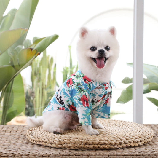 KFX-5259965 Stylish Pet Apparel in Various Colors and Sizes for Small to Large Dogs
