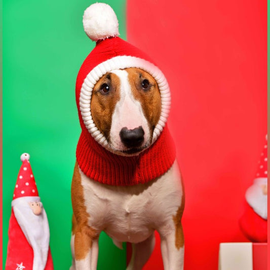 KFX-5269949 Cozy Red Woolen Hat for Pets - Sizes S to XL for Autumn and Winter