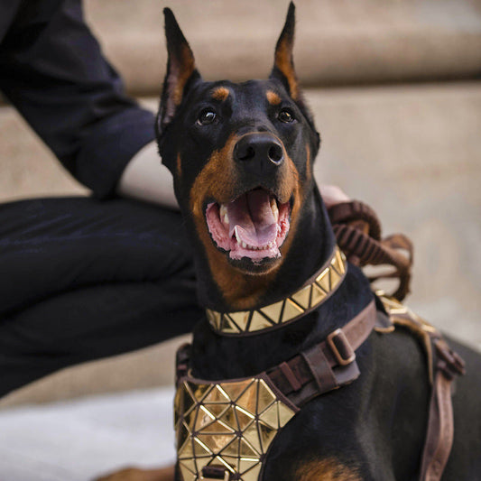 KFX-5297213 Sequined Leather Dog Vest with Traction Rope - Multiple Color Options Available