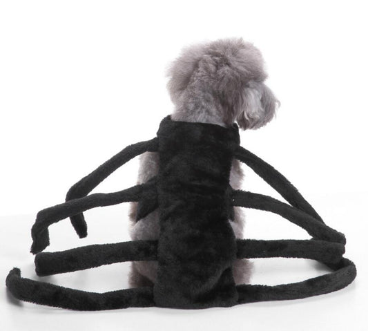 KFX-5302077 Dog Spider Costume for Pets - Unique Design, Multiple Sizes Available