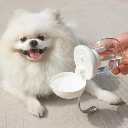 KFX-5316669 Portable Pet Water Bottle for Travel - 300ml & 550ml Options, High Temperature Resistant, Lanyard Included