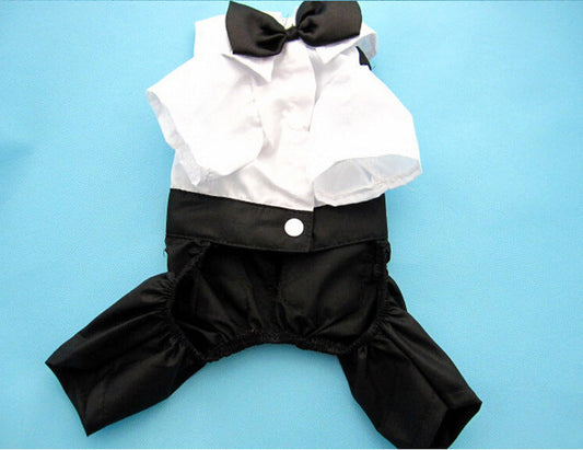 KFX-5388861 Elegant Pet Wedding Outfit with Stylish Trousers - Casual Cloth Design in Multiple Sizes