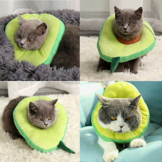 KFX-5424701 Soft Adjustable Pet Recovery Collar for Cats and Small Dogs – Lemon Design E-Collar for Post-Surgery Care and Wound Healing