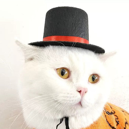KFX-5436989 Gentleman Cat Scarf & Top Hat Set for Small Pets - Size S & M Available