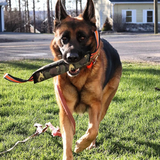 KFX-5439549 Reflective Jute Dog Training Bite Stick with Yellow Edge - 55cm