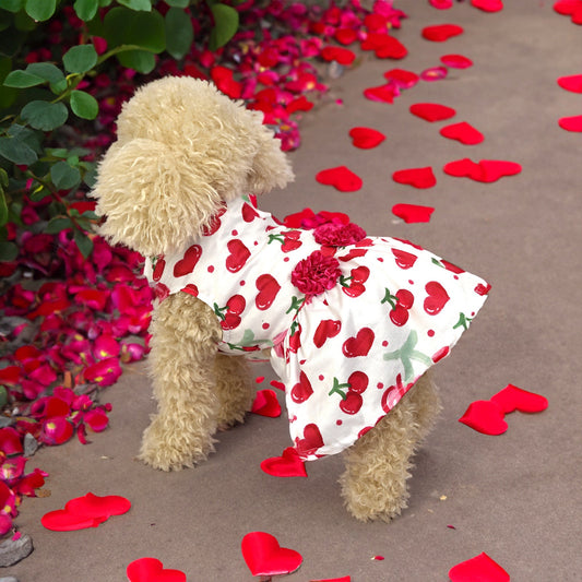KFX-5474877 Cute Printed Skirt for Dogs and Cats in Pink Love Heart, Red Rose, and Rose Red Cherry