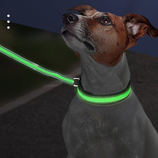 KFX-5523517 LED Waterproof Dog Collar with Type-C Charging - Luminous Nylon Mesh in Various Colors