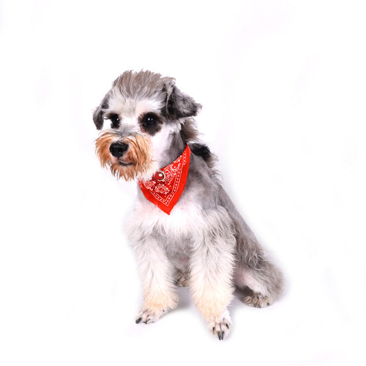 KFX-5540797 Triangular Pet Dog Scarf in Pink, Blue, Black, and Red - PU Material for All Seasons