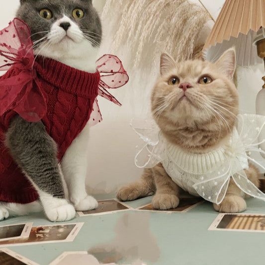 KFX-5552317 Warm Autumn and Winter Sweater for Cats in Wine Red and Beige