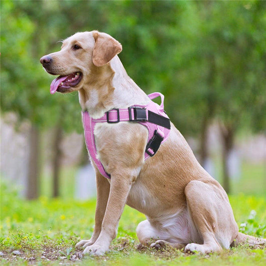KFX-5559357 Adjustable Dog Vest Harness with Reflective Straps for Small to Large Breeds
