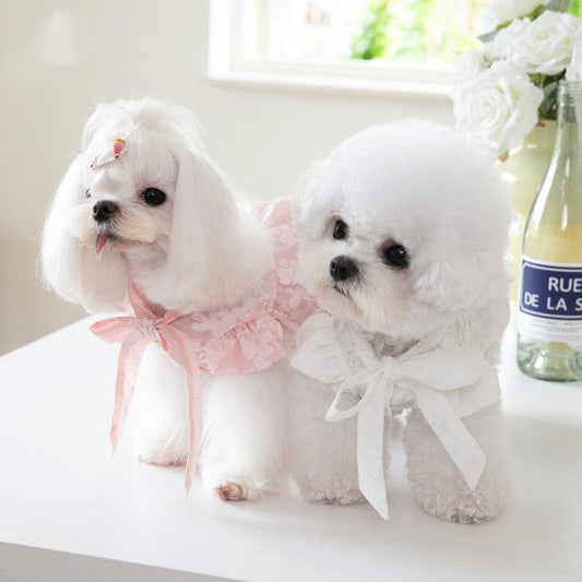 KFX-5573181 Cat Tie Bow Collar Dress - Polyester Skirt in White and Pink, Sizes XXS to 3XL