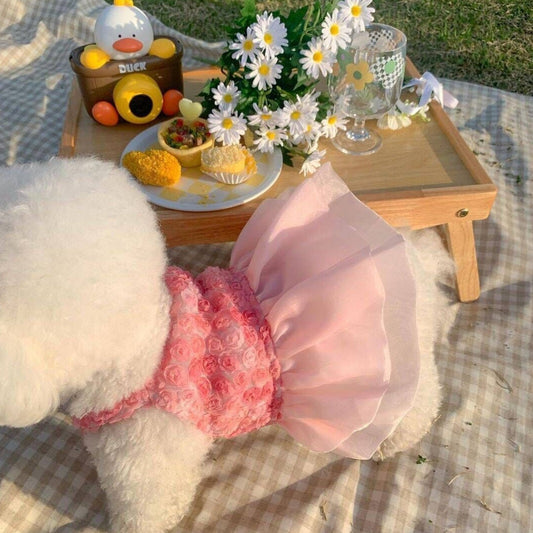 KFX-5587645 Rose Lace Pet Dress for Spring and Summer - XS, S, M, L, XL