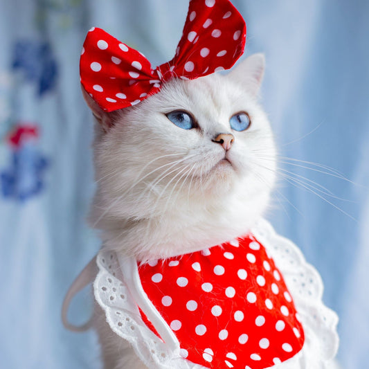 KFX-5611709 Colorful Cat Lace Suit Scarf Bib Decoration for Pets - Various Floral Patterns in Cotton