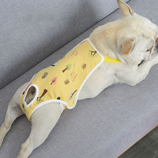 KFX-5647421 Pet Physiological Pants for Female Dogs - Available in Various Colors and Sizes