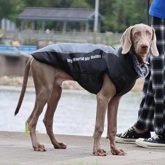 KFX-5683773 Winter Pet Jacket for Dogs in Various Colors and Sizes