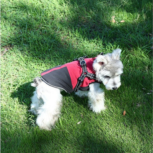 KFX-5696701 Waterproof Casual Cotton Pet Jacket in Red, Sapphire Blue, Army Green - Sizes S to XXL Available