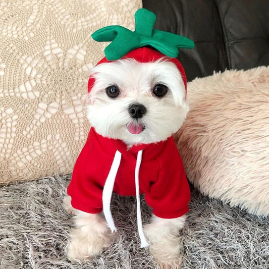 KFX-5733821 Apple Costume for Small Dogs and Cats - Fruity Cotton Vest Shirt for Pets