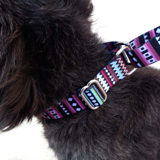 KFX-5747133 Color Stripe Digital Printing Pet Walking Collar in Purple Arrow Gradient, Casual Polyester Design, Various Sizes Available