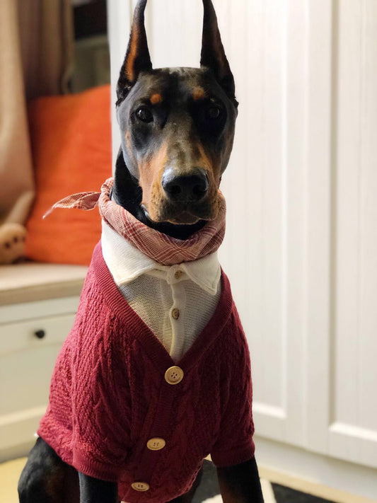 KFX-5787837 Cozy Casual Cardigan for Large Dogs - Cotton and Polyester Blend, Sizes 8 to 12