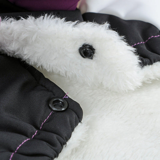 KFX-5799613 Cozy Casual Polyester Pet Clothing for Autumn and Winter
