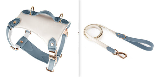 KFX-5809981 Leather Pet Vest with Lead Rope and Adjustable Chest Strap in Various Colors