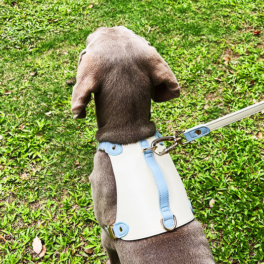 KFX-5809981 Leather Pet Vest with Lead Rope and Adjustable Chest Strap in Various Colors