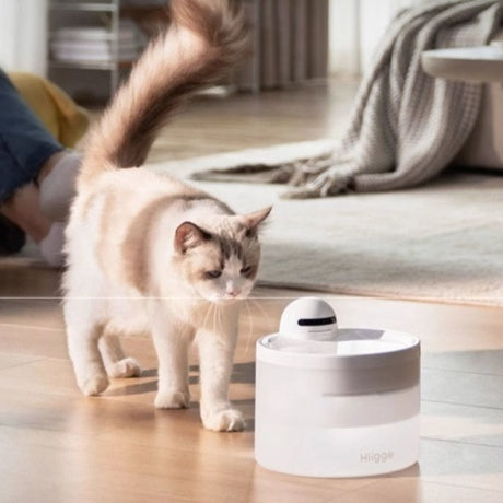 KFX-5839549 Smart Wireless Pet Water Dispenser with 24-Hour Water Quality Monitoring for Cats and Dogs