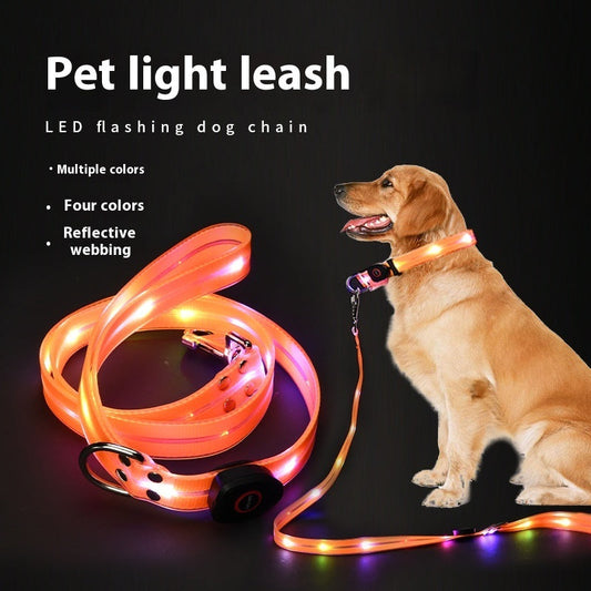 KFX-5854781 LED Collar with Hand Holding Rope for Pets in Multiple Colors