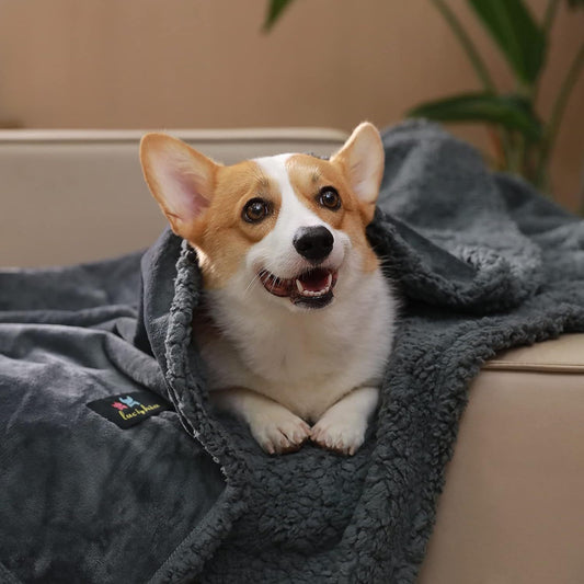 KFX-5900093 Navy Blue Pet Lamb Wool Blanket for Dogs - Multiple Sizes Available