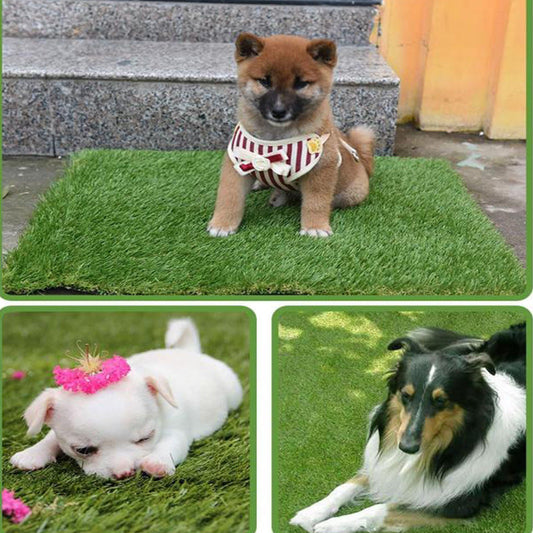KFX-5904061 Washable Turf Training Pad for Dogs - Available in Multiple Sizes